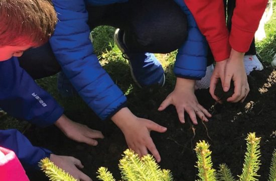 Children looking at a shrub