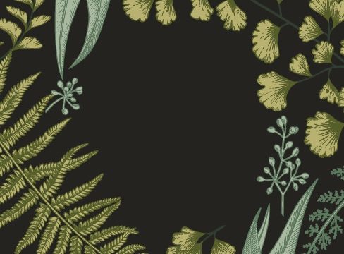 A plant graphic