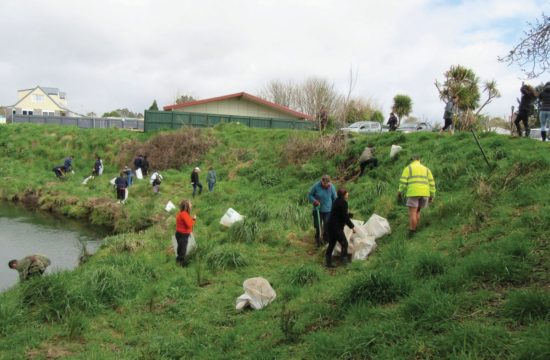 Lions volunteers working outside