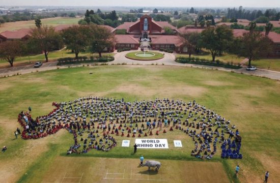 World Rhino Day