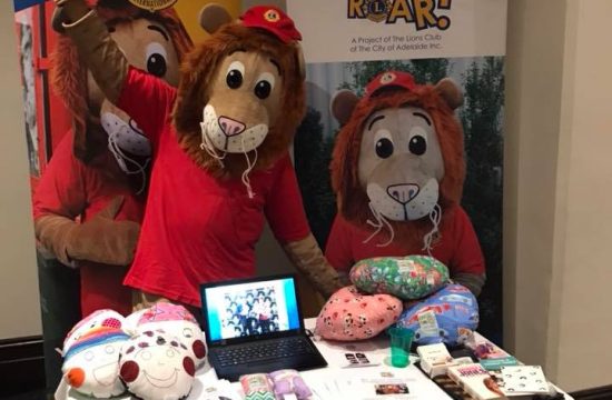Lions display port pillows they sewed