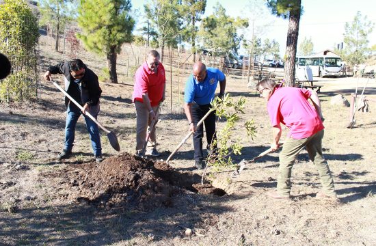 International Directors plant a tree