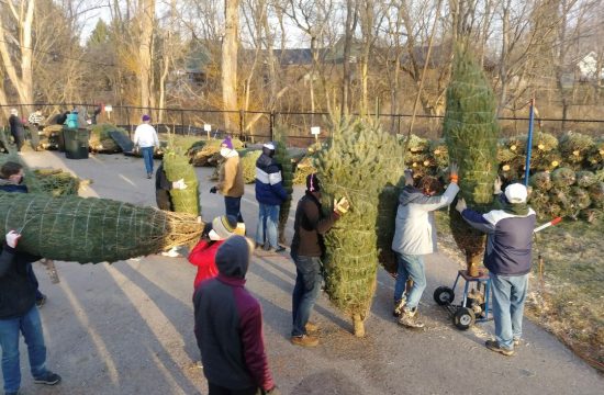A Lions Club Christmas Tree Lot